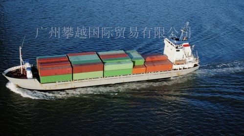 2025年2月外贸新规汇总 国际货代行业风向标